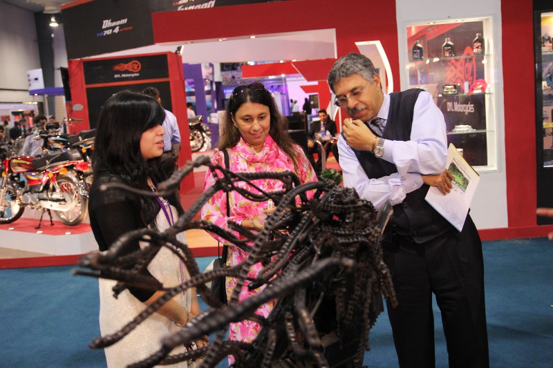  PAPS-2013-Art-Competition